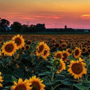 Meet your Posher, Mariah